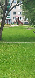 Üleviste tn 7, Tapa, Tapa vald, Lääne-Virumaa (13 фото из 13)