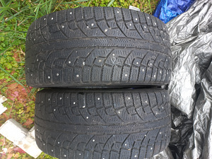 Naaastrehvid R17/50/225 (1 foto / 2)