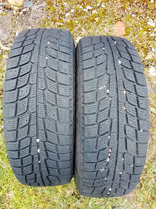 Lamellrehvid R15/65/195 (1 foto / 3)