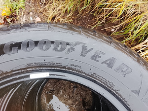 Ламельные шины R16/65/225 Goodyear (3 фото из 5)