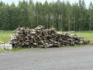 Müüa kasepuu küttepuid (3 foto / 3)