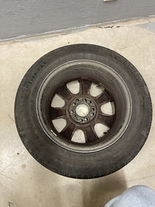 RS valuveljed 15” Pirelli suverehvidega 195/65/15 (2 foto / 5)