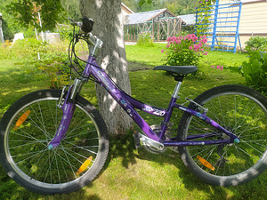 Велосипед Trek MT 220, 24" (2 фото из 10)