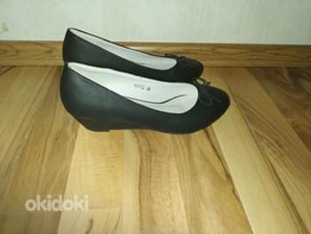 Tumesinised uued kingad 36 (37)
