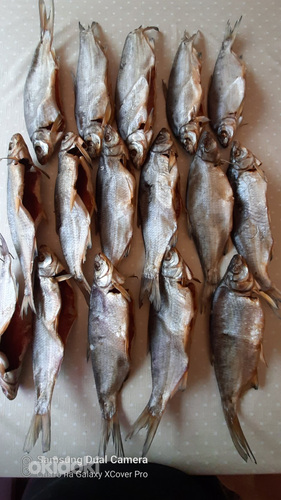 Kuivatatud kala (särg kaaviariga) (foto #2)