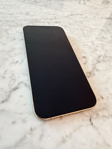 iPhone 13 Pro Max Gold 256 GB, kuldne (3 foto / 9)