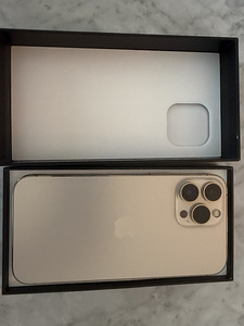iPhone 13 Pro Max Gold 256 GB, kuldne (8 foto / 9)