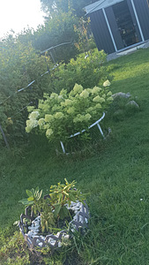 Maardu tee, Maardu, Harjumaa (2 foto / 12)