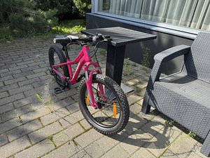Selling Specialized Kids Bicycle (3 foto / 4)