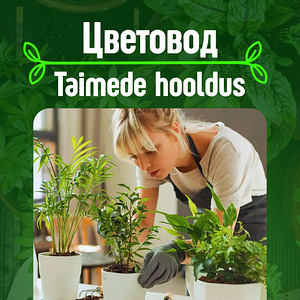 Taimede hooldus, ümberistutamine, desinfitseerimine (1 foto / 1)