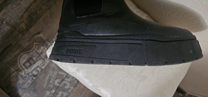 Puma (4 фото из 7)