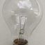 Лампа прозрачная 12в 40вт Е27 (фото #1)