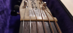 Gretsch Honeydipper (6 foto / 7)