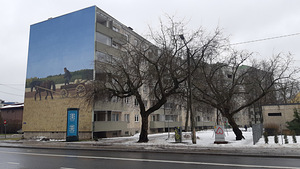 Keldrimäe tn, Kesklinna, Tallinn, Harjumaa (15 foto / 15)
