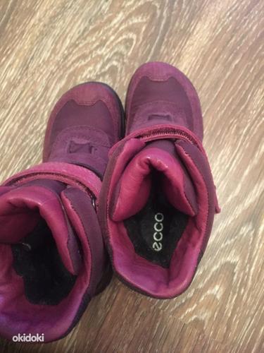 Новые Ecco зимние ботинки, 33 (фото #2)