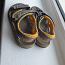 Laste sandaalid Columbia nr 26,5 (foto #2)
