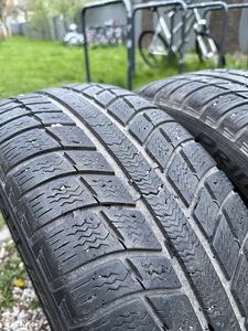 Michelin primacy alpin (1 foto / 2)