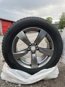 Naelrehvid valuvelgedel (3 foto / 4)