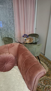 Scottish Fold Golden Chinchilla – Upea ja harvi (1 valokuva sivusta 5)