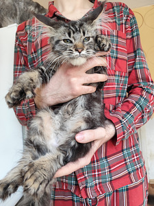 Meinkūns polidakts (8 foto no 9)