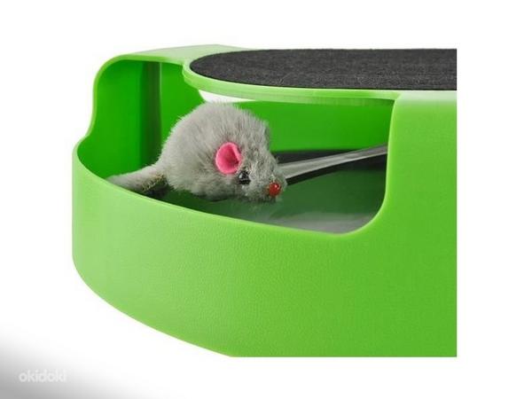 Kassi mänguasi - püüdke hiirt! P5404 (foto #3)