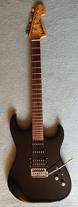 Washburn X-Series Stratocaster (1 foto / 3)