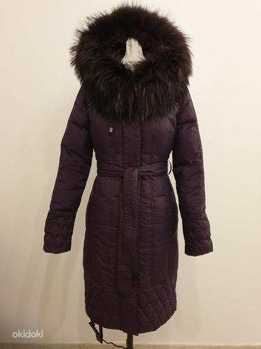 Зимнее пальто, 36 (фото #1)