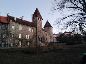 Müün maali TALLINNA näituselt! (2 foto / 2)