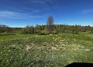 Maretsaare, Kõveriku, Mustvee vald, Jõgevamaa (3 фото из 10)