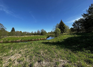 Maretsaare, Kõveriku, Mustvee vald, Jõgevamaa (4 фото из 10)