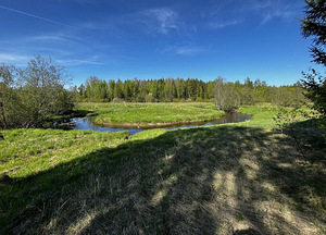 Maretsaare, Kõveriku, Mustvee vald, Jõgevamaa (10 фото из 10)