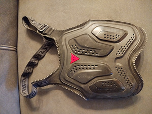 Mototatturi rinnakaitse "DAINESE" Suurus M (3 foto / 3)