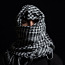 Араб, головной убор, шарф, покрытие для лица. (фото #3)