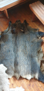 Pargitud seanahad (4 foto / 10)