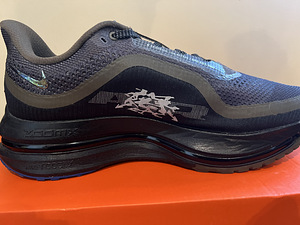 Nike Pegasus Premium uued meeste tossud,41 (6 foto / 10)
