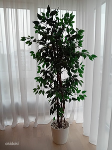 Kunstpuu + IKEA lillepott (1 foto / 3)