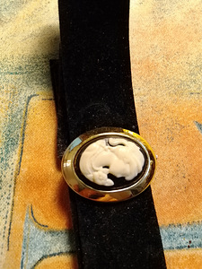 CAMEE KAULAKORU PEHMEÄÄ SAMETTIA (1 valokuva sivusta 3)