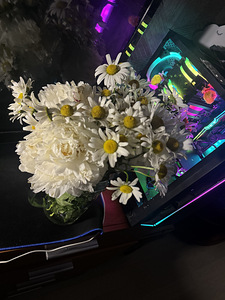 Ryzen 5 5500 and Nvidia 3060ti 16gb RAM 1tb m2 (1 foto / 6)
