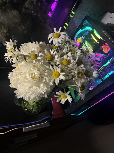 Ryzen 5 5500 and Nvidia 3060ti 16gb RAM 1tb m2