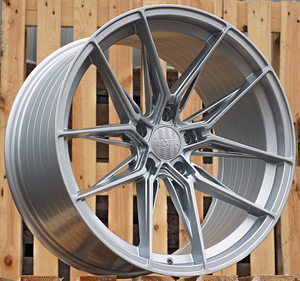 R20x9  5X112  ET  31  66.5  HX036  Silver Shining (SS)  For HAXER  (K4)  (Rear+Front) (1 foto / 1)