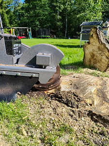 Kändude freesimine, kändude eemaldamine, kändude väljajuurimine. (1 foto / 4)