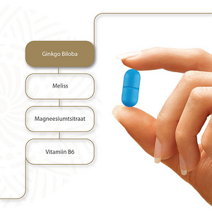 Ginkgo Pro Expert NEURO N30 tabletid (3 foto / 4)