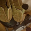 Sandaalid 40 suurus (foto #2)