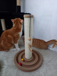 Кошачья игрушка (2 фото из 2)