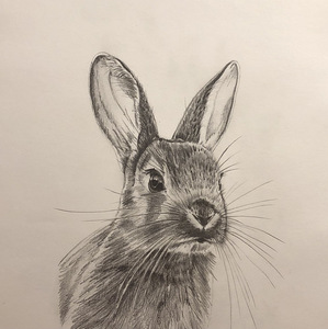 Рисунок "Кролик"