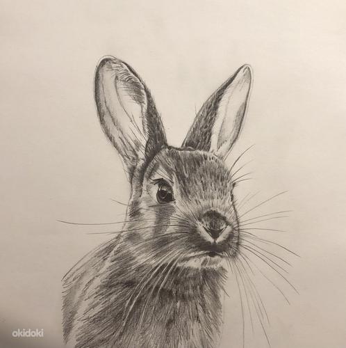 Рисунок "Кролик" (фото #1)