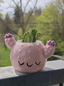 Opuntia (opuntia) (2 foto / 4)