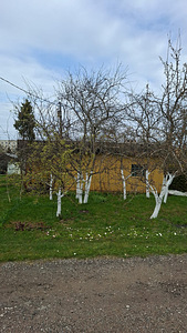Terase tn 37, Jõhvi, Jõhvi vald, Ida-Virumaa (4 фото из 28)