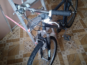 Classic Freeride (2 foto / 4)