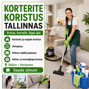 Korteri koristus koos aknapesuga. (2 фото из 3)
